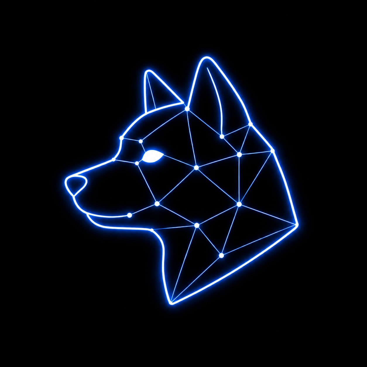 Naka Labs Founder Pass
